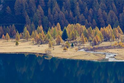 Engadin