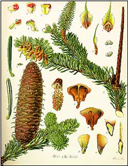 Uebersicht