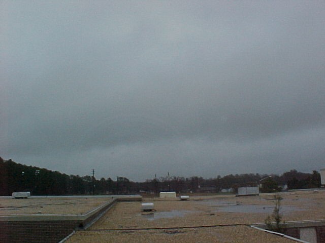 01 01.jpg